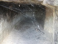 gale-20120725 079